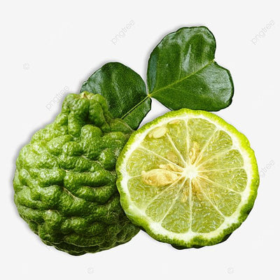 Bergamot